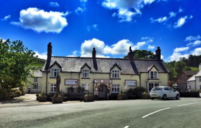 Гостиница The Hand at Llanarmon  Лланармон Дайффран Сериог